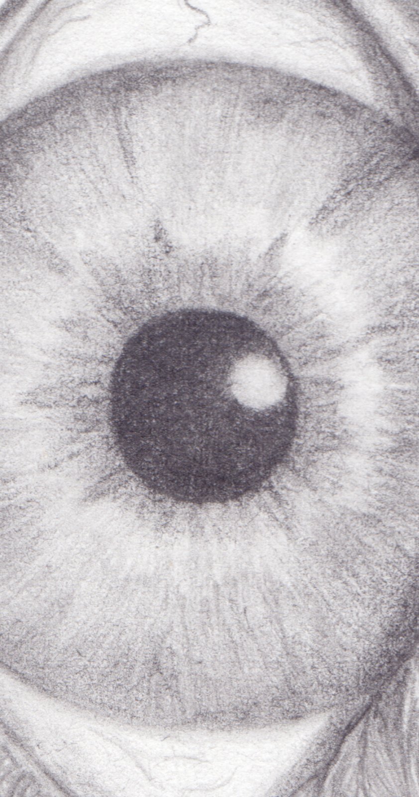 ilustração de pupila e íris do olho, bem vindos à MARRUAH editora, saiba mais